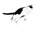 ペットちゃんの似顔絵をデジタルで描きます ペットちゃんへの愛をかたちにするお手伝いやさん イメージ3
