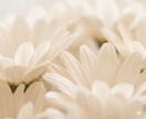 沈黙が怖くなくなる/心を通わせる会話のコツ伝えます 「何か話さなきゃ」の焦りを卒業/心地よい「間」を楽しめる私へ イメージ8