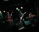 バンド・ソロ対応/ライブの写真撮影を行います ライブの一瞬を、記憶に残る写真で残します イメージ3