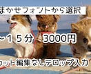 YouTube用などの動画に簡易テロップ入れます ★カット編集なし☆シンプルプラン☆ イメージ1