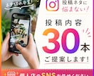 インスタ投稿内容【30本】戦略込みでご提案します もう悩まない！集客につながるネタを、あなた専用でご提案します イメージ1