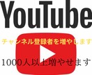 1000人YouTubeチャンネル登録者増やします YouTubeフォロワー宣伝します！フォロワー増加確実！ イメージ5