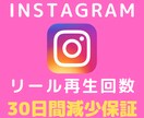 Instagramリール動画再生数を増やします 【30日間保証】リール・IGTV+2000～再生拡散★高品質 イメージ1