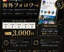 Instagram10000人フォロワー増えます 1年保証付き❗️独自サービス❗️1万人フォロワー❗️ イメージ1