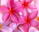 高次元からのスピリチュアルメッセージをお伝えします お悩みを教えて下さい。丁寧に鑑定していきます。 イメージ2