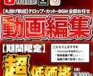 丸投げ歓迎!!│どんな動画も超格安で編集いたします オールジャンル対応！あなたの動画を『プロ仕様』に仕上げます！ イメージ1