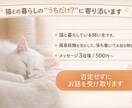 猫と暮らす人の愚痴・モヤモヤ、静かにお聞きします 猫との暮らしの“うちだけ？”に寄り添います。 イメージ1