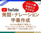 YouTube動画の発話字幕を作成いたします アップロード済みの動画にも発話字幕を簡単設定♪ イメージ1