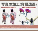 画像の背景を透明にします プロ仕様の画像編集ソフトのハイクオリティの画像編集 イメージ2