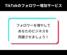 TikTokフォロワー増やします フォロワー数UPでTikTokがもっと楽しくなる♪ イメージ3