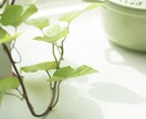 毒親に悩んでる方の悩みに寄り添います 毒親に悩んでる方1人で悩まず相談してください！ イメージ1