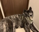 名古屋市→田舎の山奥へ引越した中卒社長が提案します あなたの仕事、お金稼ぎ、恋愛、趣味を考慮したネオライフスタイ イメージ7