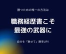 顔出し無し　あなたを「魅せる」職務経歴書添削します 内定率UP！転職相談所　企業管理職があなたを支援！ イメージ2