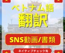 ベトナム語でSNS字幕と翻訳をします ベトナム人をターゲットに発信したい人！書類の翻訳もできます イメージ1