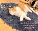 5分〜貴方の心の拠り所になります 話し相手が欲しい！愚痴・悩み聞いて欲しい人向け イメージ1