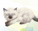 あなたの愛猫を描きます 愛猫の魅力をアートに！世界に一つだけのペットポートレート イメージ6