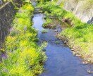 横浜市近隣の写真素材を撮影します あなたの代わりに写真を撮ってきます イメージ3