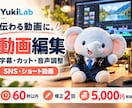 字幕付きの短尺・解説動画を編集制作します 短尺・解説・資料動画を見やすく丁寧に仕上げます イメージ1