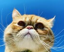 発達障害の方のコミュニケーションのお悩み聴きます ADHD、発達障害の方へコミュニケーションの不安に安心感を イメージ6