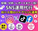 SNS運用代行｜戦略設計から投稿までします SNS発信を継続させビジネスの認知拡大をサポート イメージ1