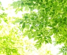 サクっと鑑定♠答えだけ欲しい！タロットで占います 恋愛｜仕事｜相手の気持ち｜決断できない‥など イメージ4