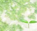 就職での企業選びのご相談を受け付けます 企業選びになやまれてるあなたへオススメ！ イメージ1