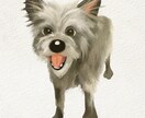 うちの子｜デジタル手描き似顔絵｜ペット肖像画｜ます 犬・猫・虹の橋の子、どんな子でも大歓迎です！ イメージ3