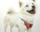 心を込めたペットの似顔絵描きます 大切な家族を色鉛筆で命を吹き込みます イメージ3