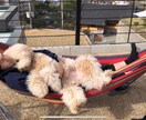 なんとなくメッセージ❤︎ゆるくやりとります なんとなく会話⭐︎独り言に少し反応してほしい方必見！ イメージ7