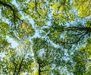 モヤモヤを祓ってエネルギー浄化させていただきます 開運のコツは浄化にあり⭐︎みなさまのエネルギー補給場♡ イメージ4