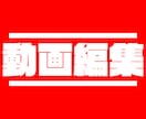 動画の編集代行させていただきます 懇切丁寧に対応、編集させていただきます イメージ1