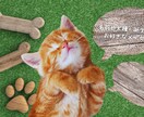 ペットの名刺・メッセージカードを作成します ペットさんのオリジナルカードを作成♪ イメージ3