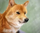 ペットちゃんのイラストを制作します お家の壁にもワン・ニャン・ピョン イメージ6