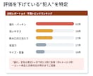 楽天・Amazonレビューを48時間で分析します お客様の不満と強みを見える化。次に直す一手がわかる イメージ4