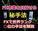 FX専業を目指せる秘手法を教えます 世界でトップクラスの最強のFX手法。初心者から専業へ。 イメージ1