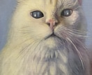 ペット肖像画描きます 油彩画でペットの思い出を美しく イメージ2