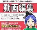期間限定の特別価格！動画編集いたします 解説系／教材／専門系などの動画編集 イメージ1
