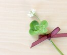 子育ての悩みききます イライラを吐き出して穏やかな生活を送りませんか？ イメージ1