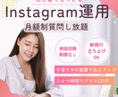 Instagramの運用を30日間コンサルします インスタは最初の設計が大切！月額で質問し放題 イメージ1