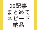 ブログまとめて20記事つくります 記事作成のプロがあなたの事業を徹底サポート イメージ1