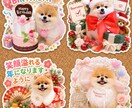 ペットの写真から小物付きの可愛いスタンプ作ります ペット写真から作る愛らしくらぶりぃで可愛いＬＩＮＥスタンプ イメージ6