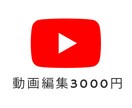 現役YouTuberが動画編集します カット、テロップ、音量調整など動画編集いたします。 イメージ1