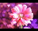 いつ告白したらいいか占います。 イメージ2