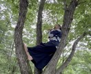 初心者向けの篠笛演奏指導をさせていただきます 自然の中で森の声を聴きながら篠笛の音霊で祈りを捧げましょう イメージ4