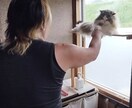 人生を楽しくする方法お伝えします 前向き、ポジティブで毎日を過ごすプロレスラーです。 イメージ1