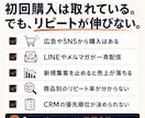 ECの2回目購入率を改善するCRM診断します 初回購入後の離脱原因を数字で整理します イメージ2