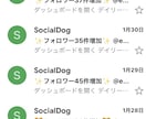 Twitter序盤でフォロワー増加方法を教えます アカウント凍結を避けながら日本人のアクティブフォロワーを獲得 イメージ5