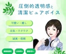 解説・教育向けのやさしいナレーションをお届けします 現役経理！難しい内容も、安心して聞ける声でお伝えします。 イメージ1