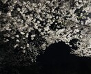 皆様のお悩み占います 皆様の幸せなお助けをいたします一人一人に寄り添った占いを イメージ1