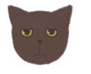 あなたのねこちゃんお描きします ねこちゃんの特徴を捉えて描いていきます　短毛の子限定 イメージ2